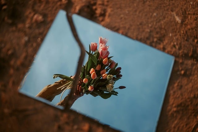 flowers-9554400_640